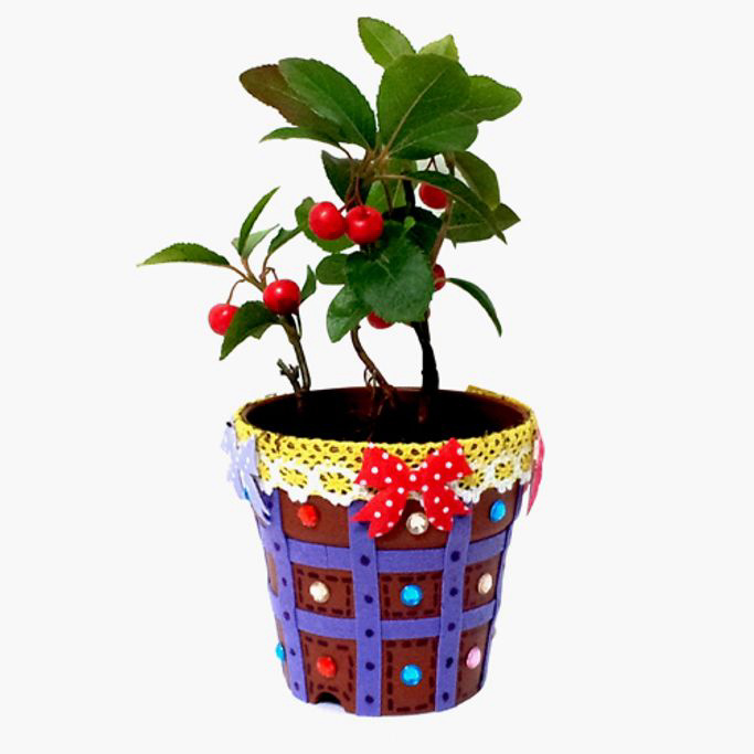 유아미술 어린이용 직접꾸며모는 식물화분만들기