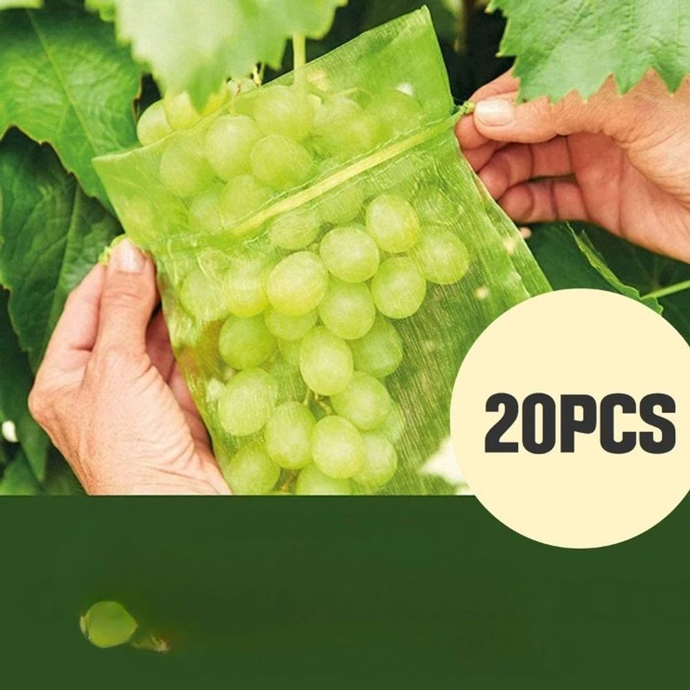 해충방지 과일 야채보호 M 20PCS 그린 메쉬주머니