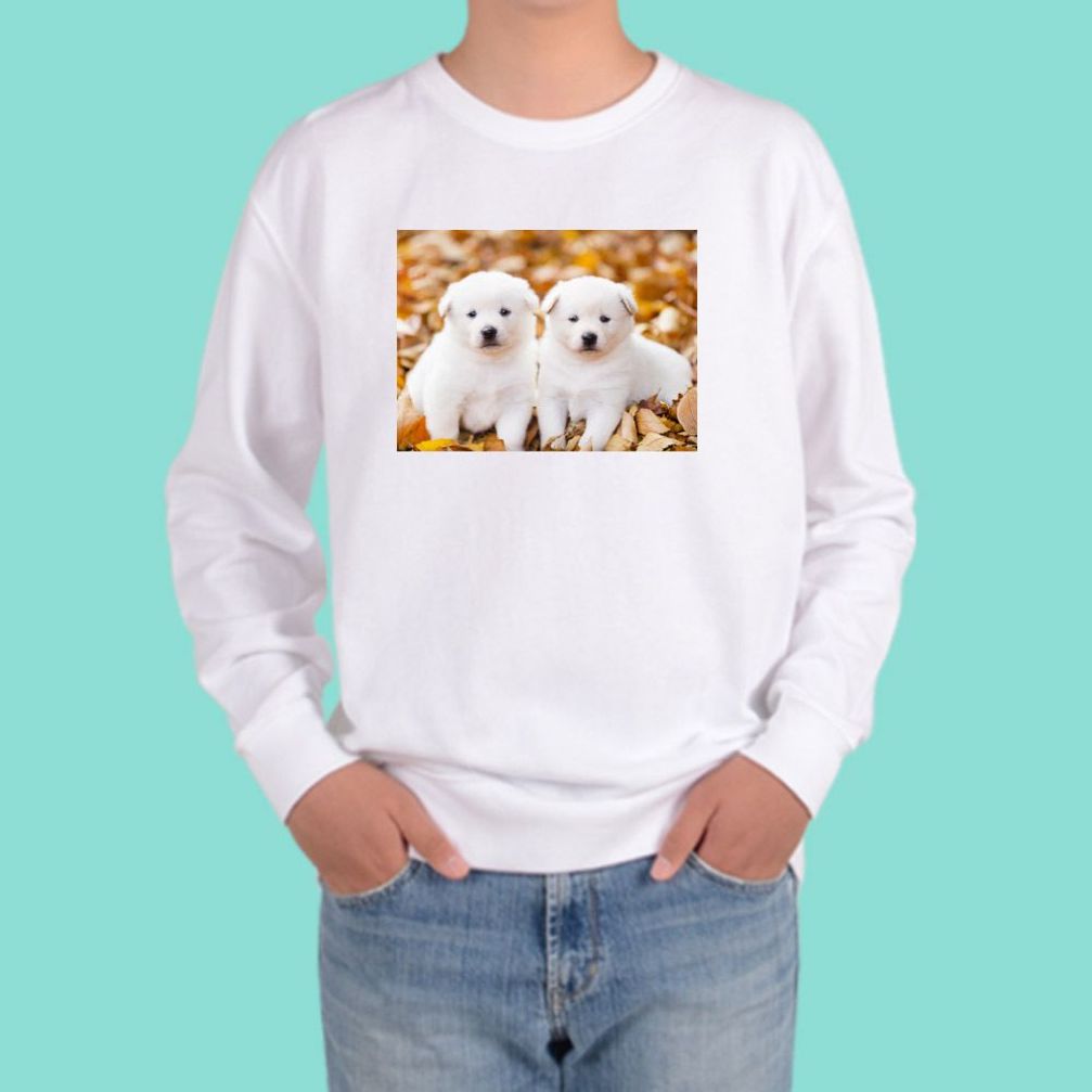 맨투맨 남여공용 강아지 골든리트리버 몰티즈 닥스훈트