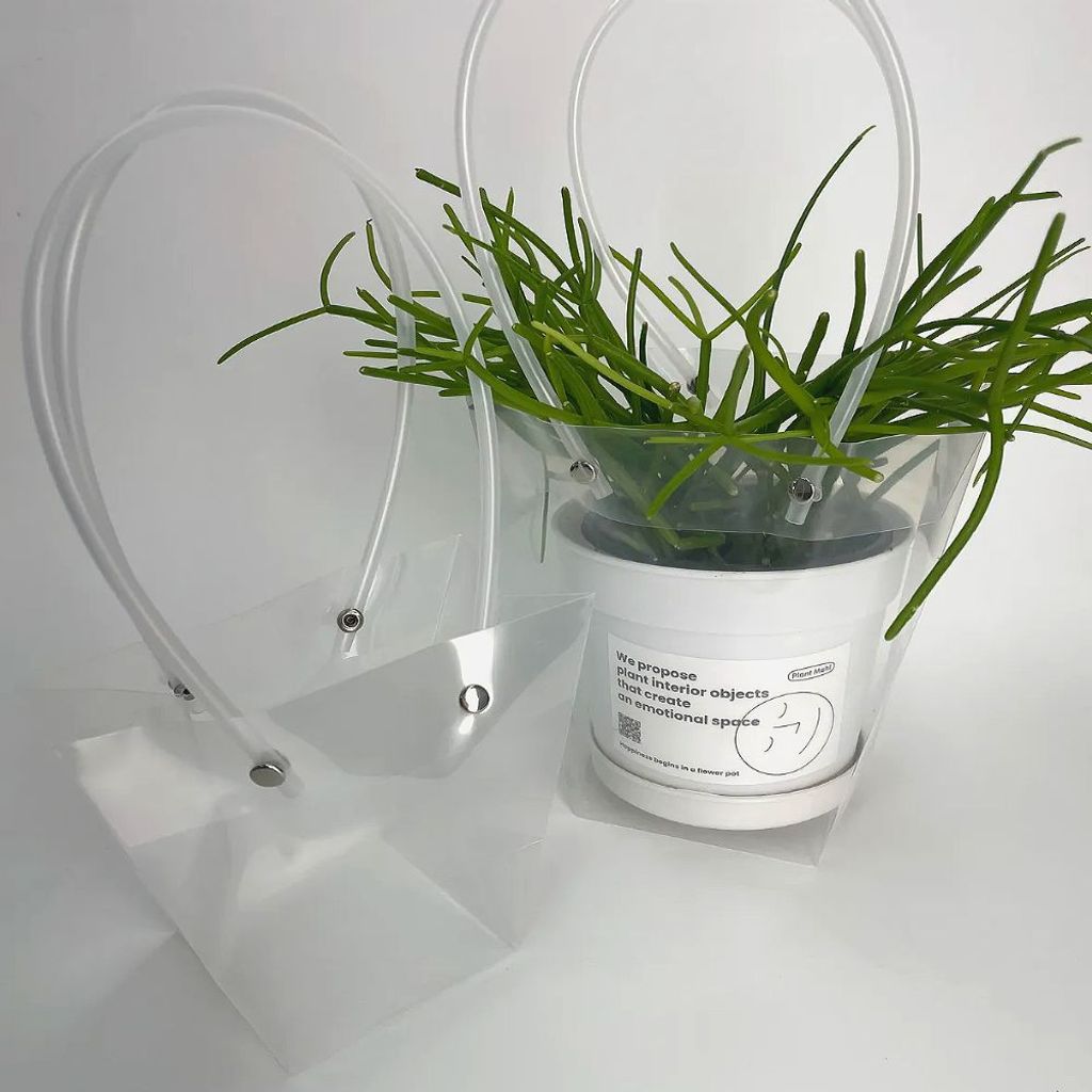 투명 쇼핑백 구디백 중 8x8x16cm