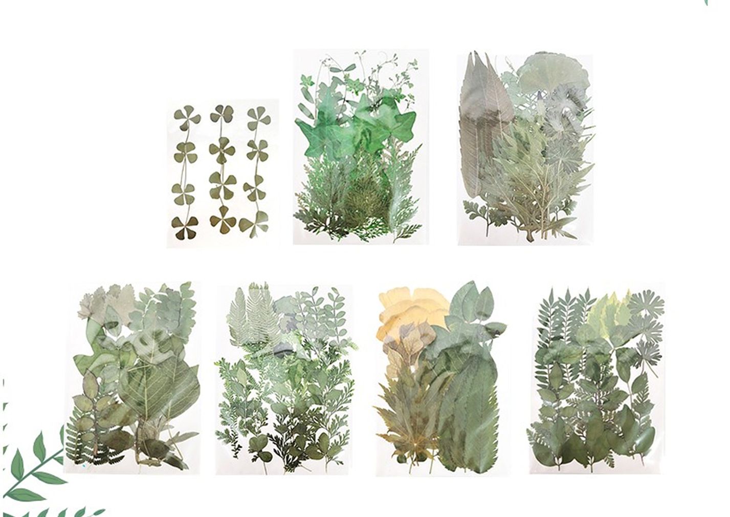 (TD) (취미키트) 압화잎 시리즈 (1인)