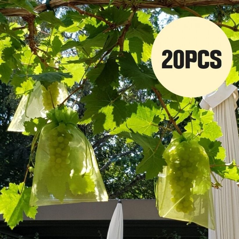 해충방지 L사이즈 20x30CM 20PCS 그린 메쉬주머니