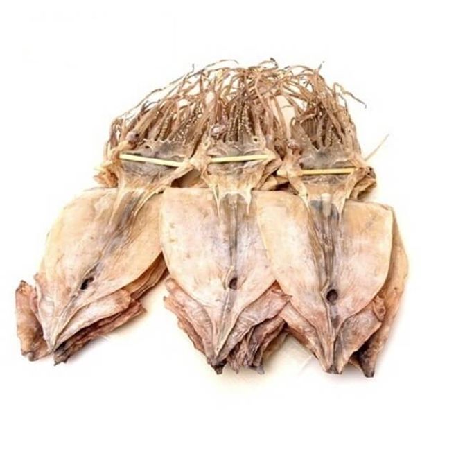 동해오징어 건조 20마리 2kg