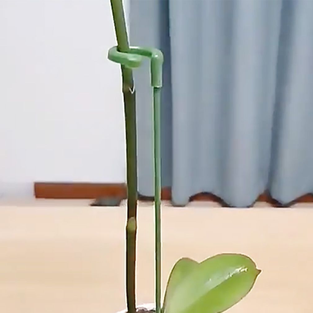 가드닝 오링 지지대 방울토마토 화초 화분 원형 식물