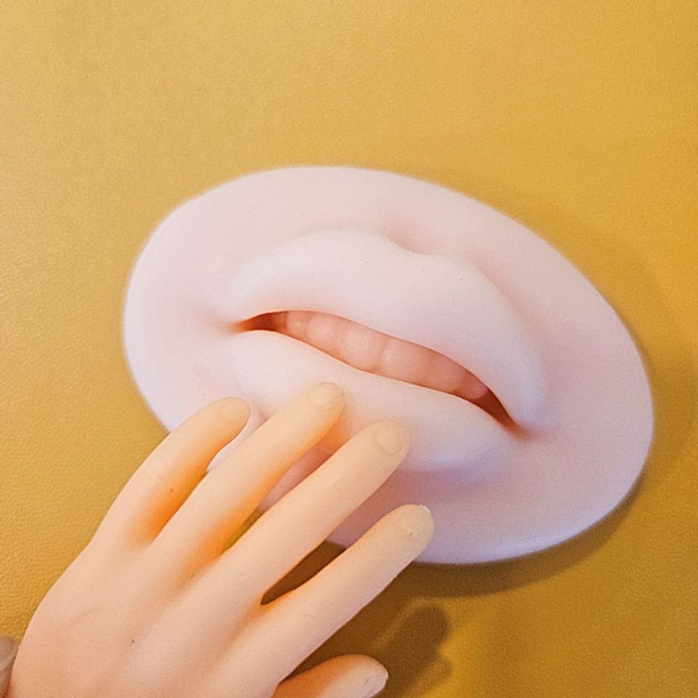 5D 실리콘 입술 반영구 고무판 립 연습용
