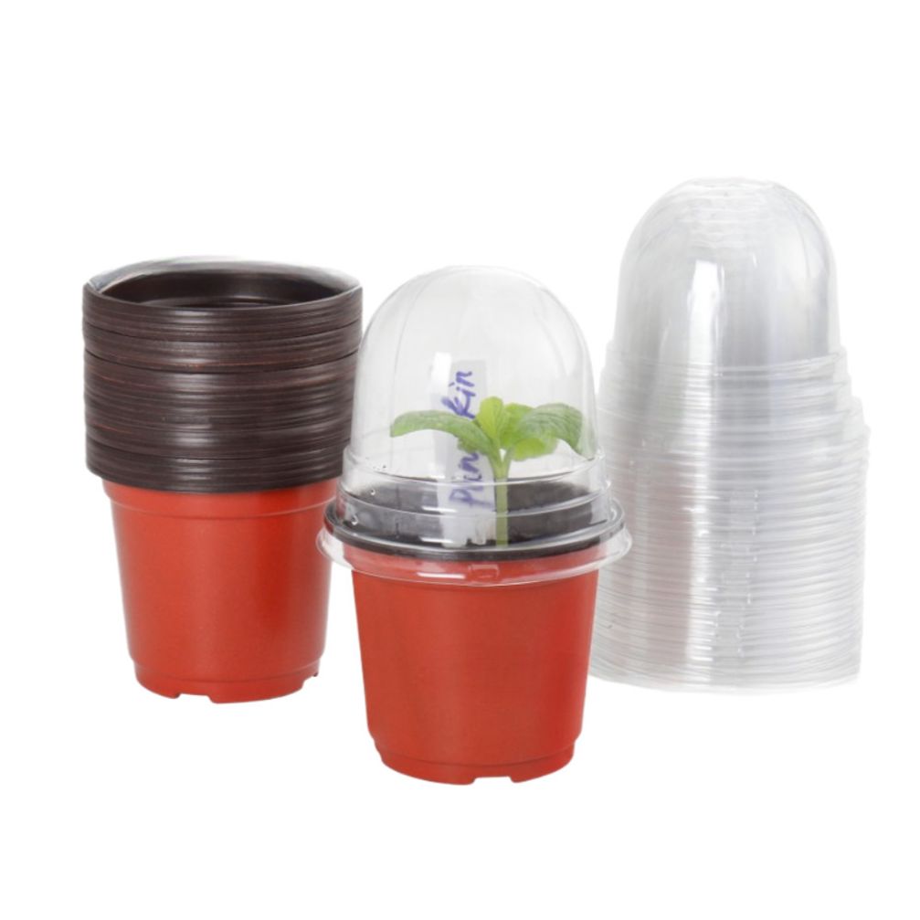 플라스틱 컵화분 투명커버세트 발아화분 10개