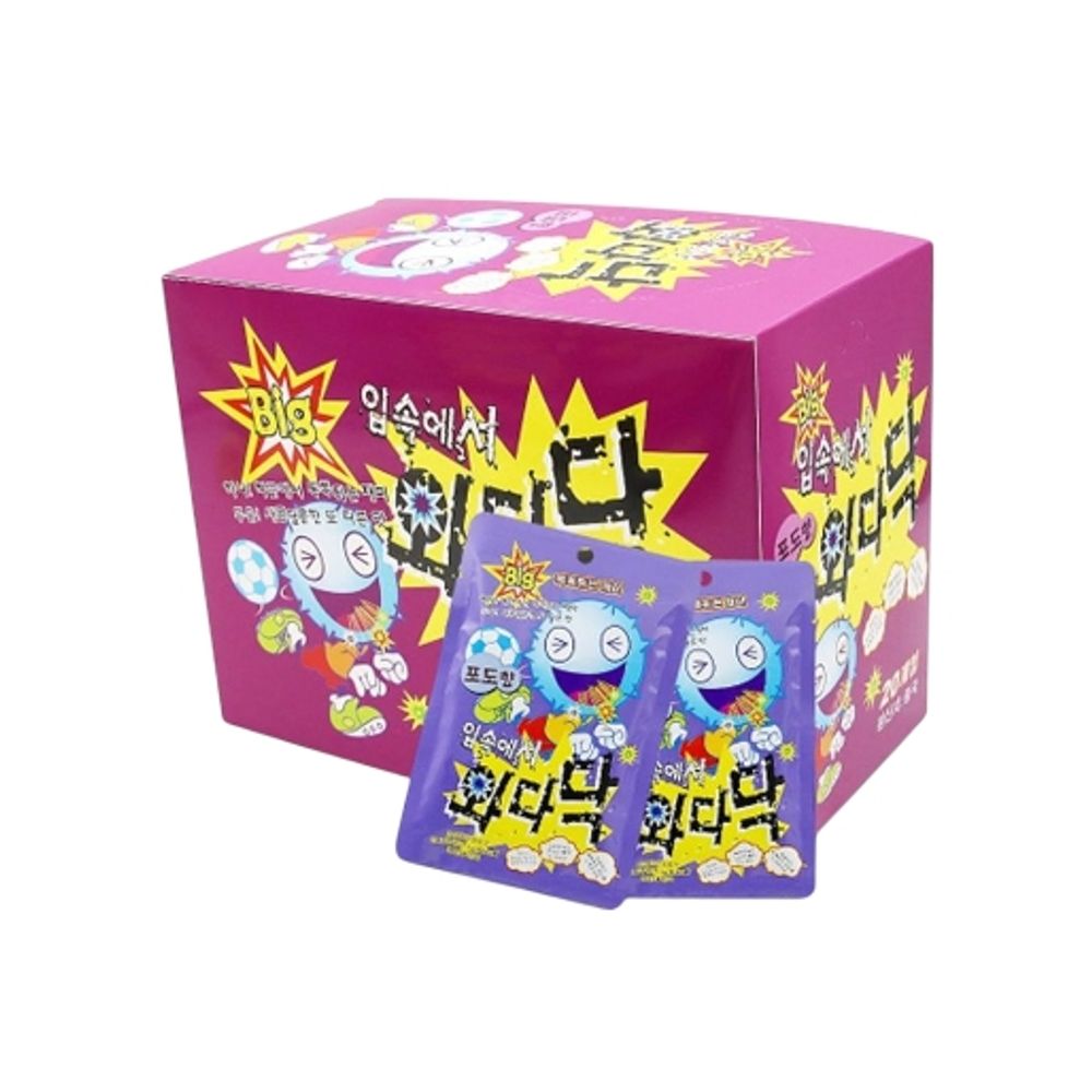 빅 입속에서 와다닥 포도향 9g(20개입)